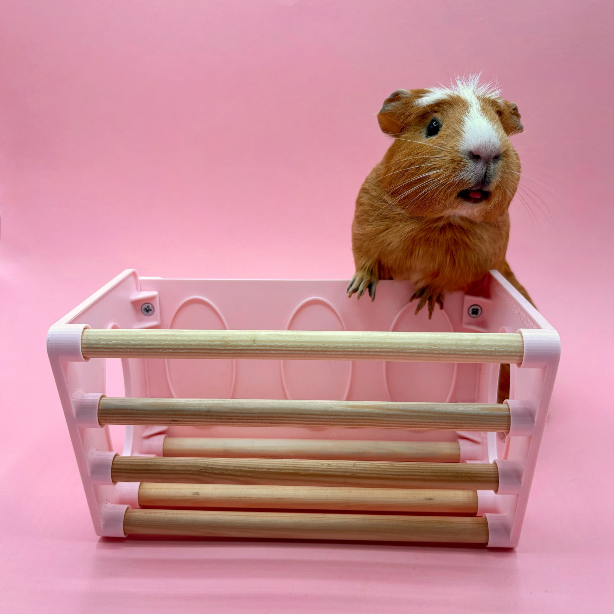 Hay Rack - Pastel Pink-3