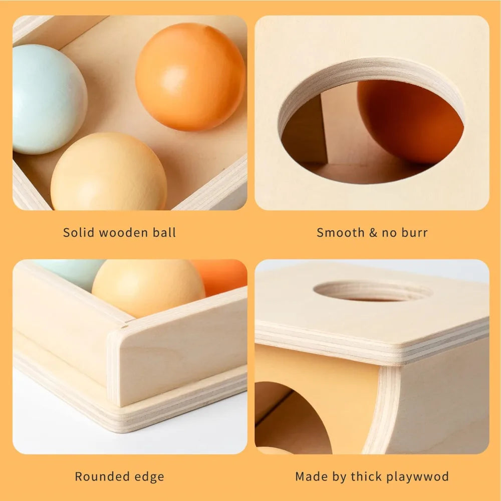 Montessori Coin Ball Drum