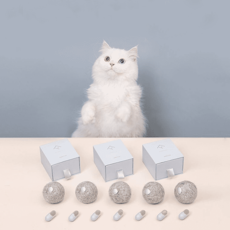 Pure Wool Interactive Catnip Capsule Toy Set for Cats