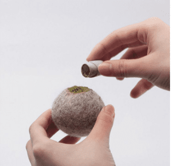 Pure Wool Interactive Catnip Capsule Toy Set for Cats
