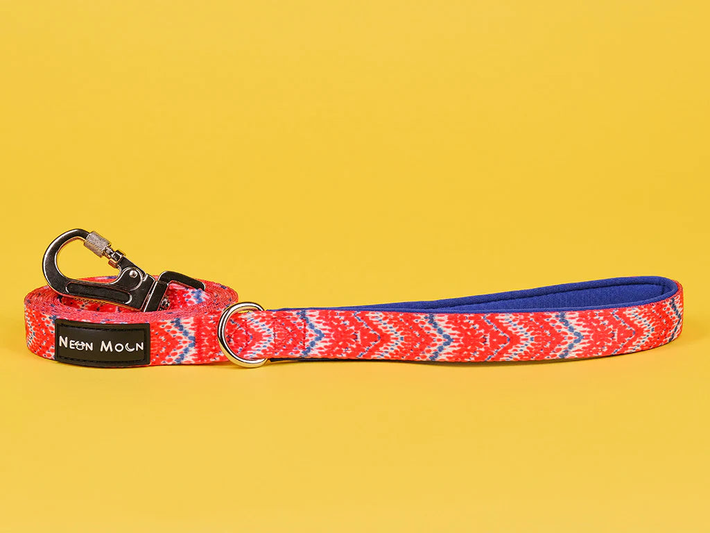The Tod Dog Lead - by Neon Moon Pet Boutique