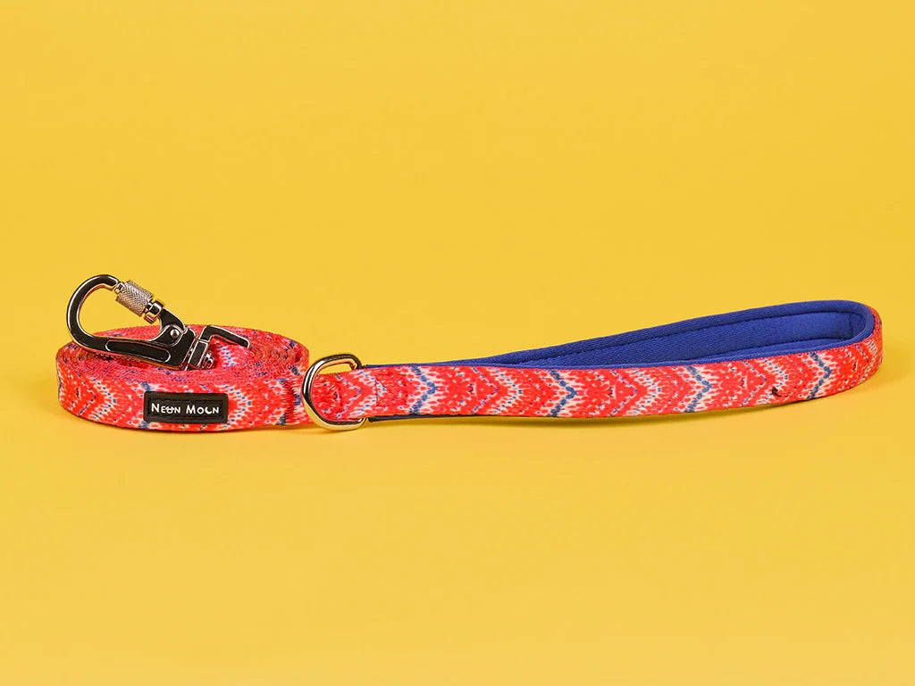 The Tod Dog Lead - by Neon Moon Pet Boutique