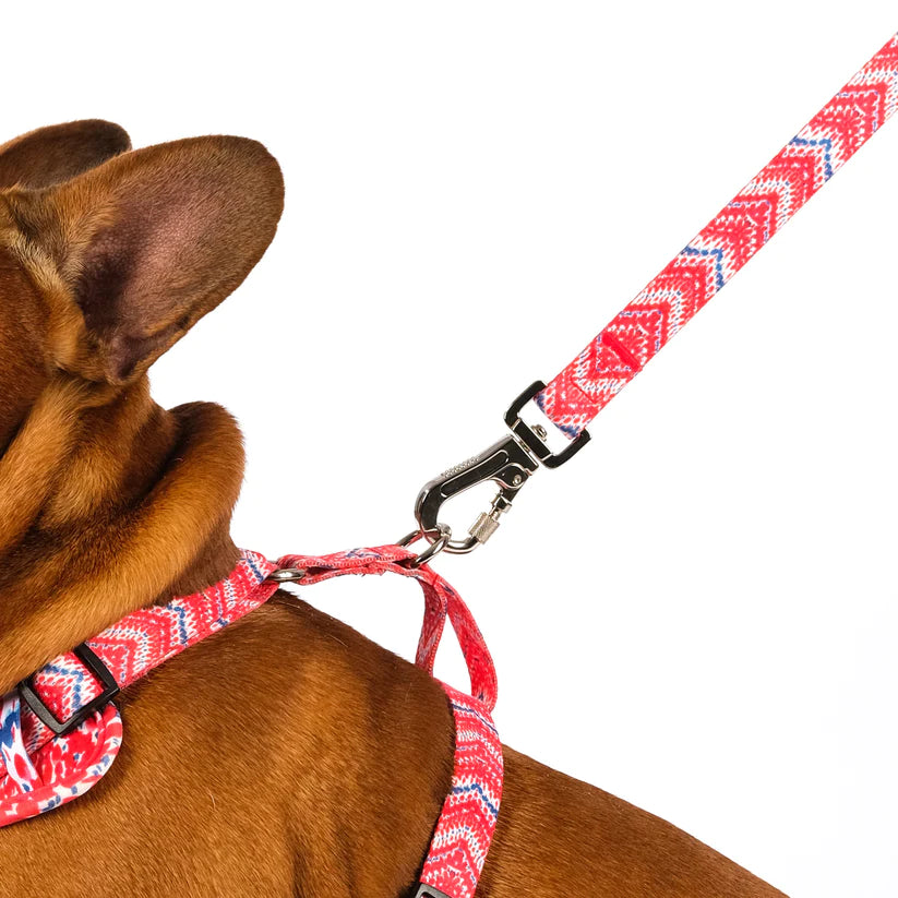 The Tod Dog Lead - by Neon Moon Pet Boutique