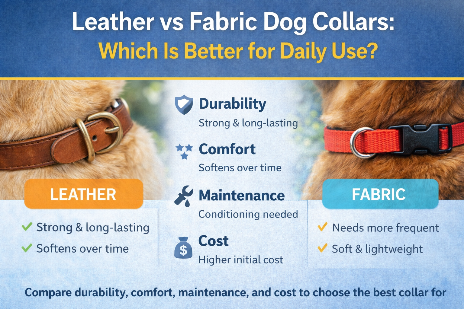 Leather vs Fabric Dog Collars: Which Is Better for Daily Use?