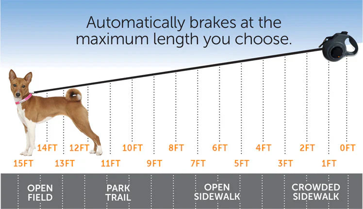 The Importance of Proper Leash Length for Dog Training and Safety