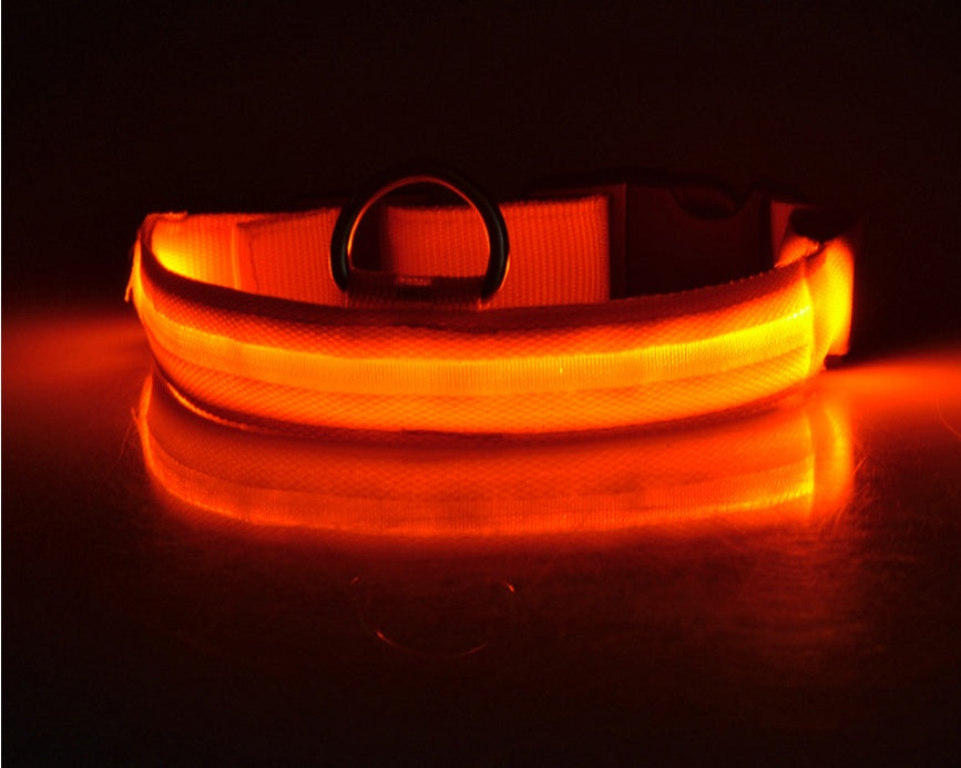 Nylon LED Pet Dog Luminous Collar Night Safety Flashing Glow in Dark Dog Cat Leash Adjustable Pet Supplies - Nestkin Store