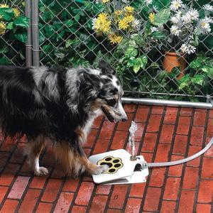 Outdoor Dog Pet Water Fountain - Nestkin Store