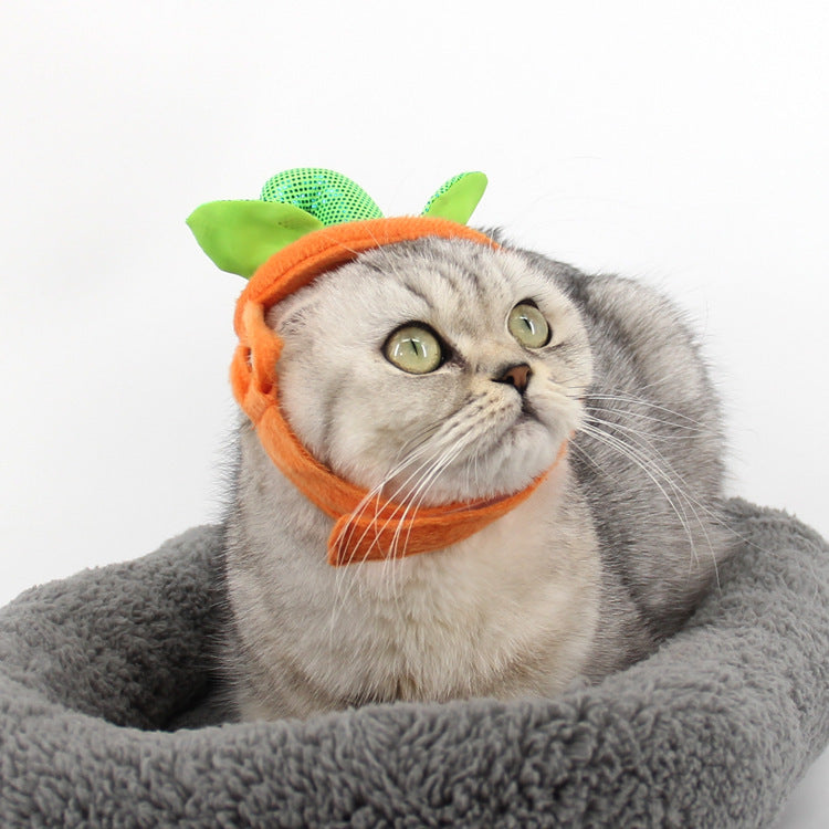 Halloween Pet Cats Costume Props Creative Pumpkin Shape Green Leaf Decoration Cosplay Clothing Holiday Garment Supplies - Nestkin Store