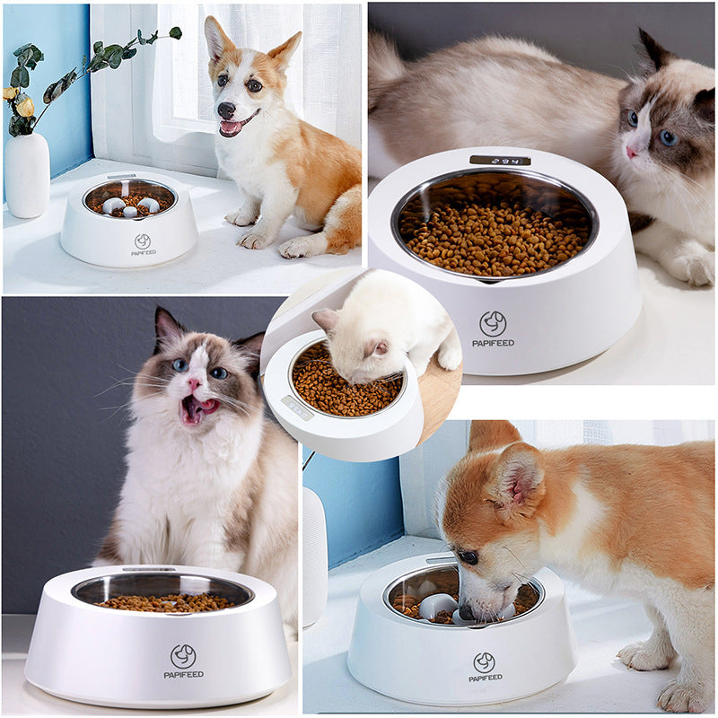 Pet Dog Bowl Slow Feeder Dog Food Bowl Smart Weighing Dog Slow Feeder Cat Pet Feeder - Nestkin Store