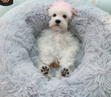 pet room - Nestkin Store