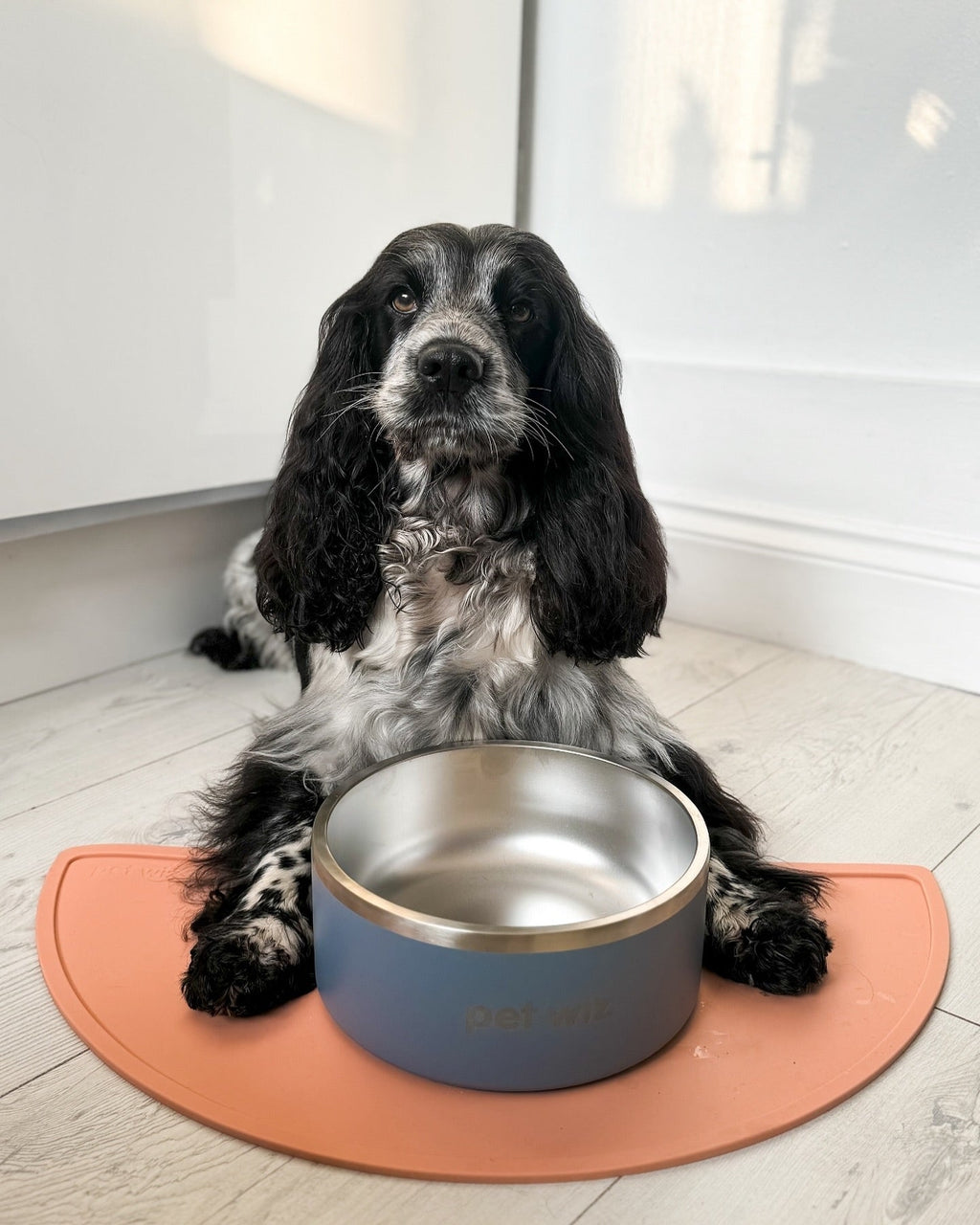 Silicone Feeding Mat