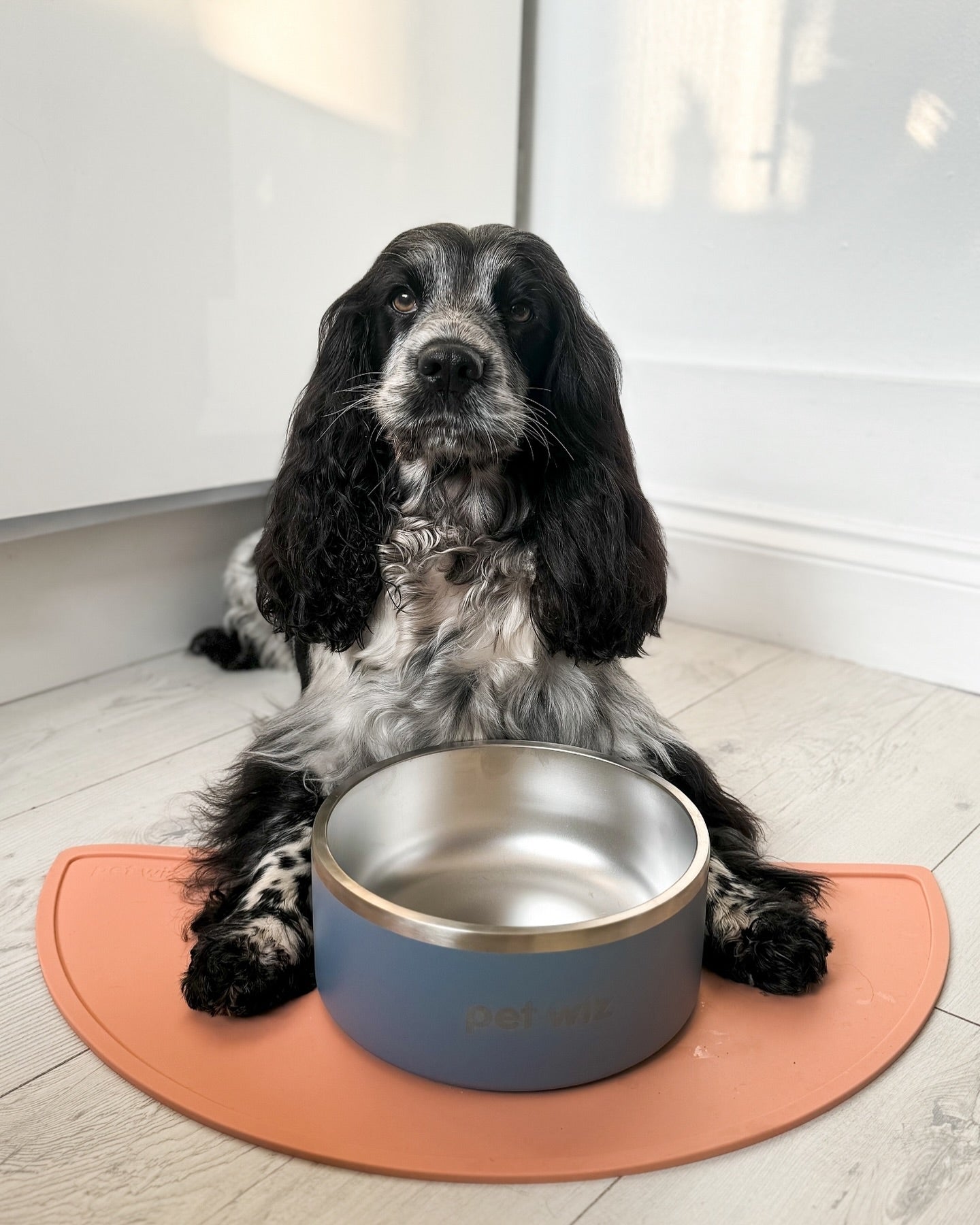 Silicone Feeding Mat