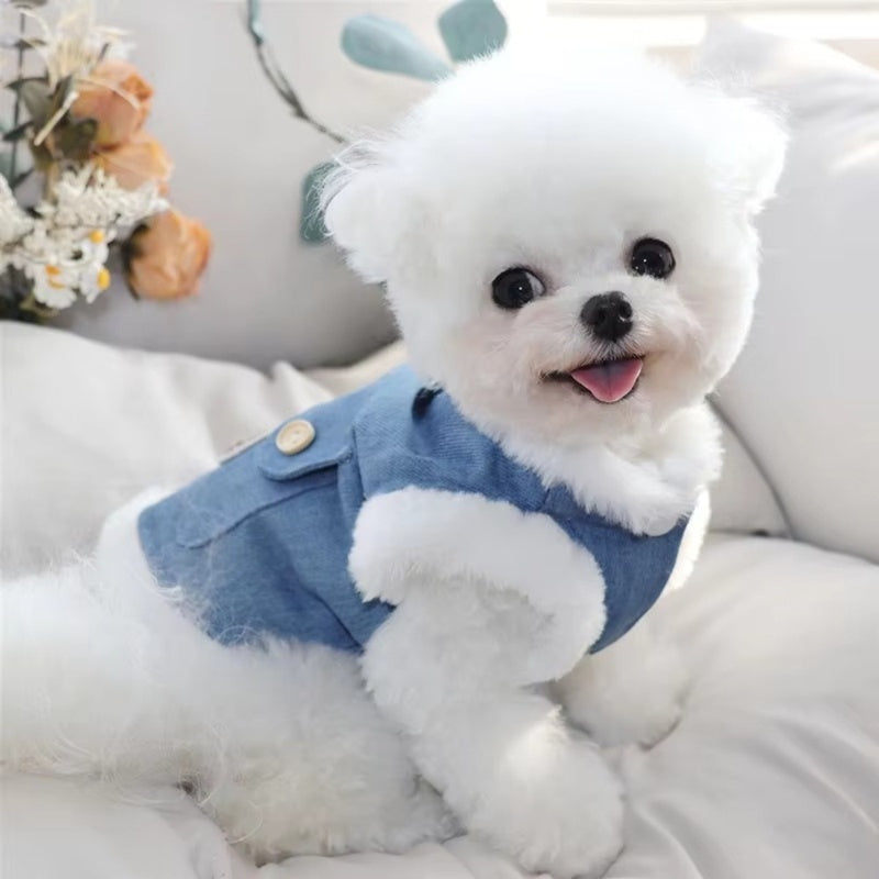 Winter Fleece Pet Dog Clothes Bear Print Dog Down Coat Warm Soft Puppy Vest Jacket Fashion Cat Jacket Coat Cute Pet Dog Costumes - Nestkin Store