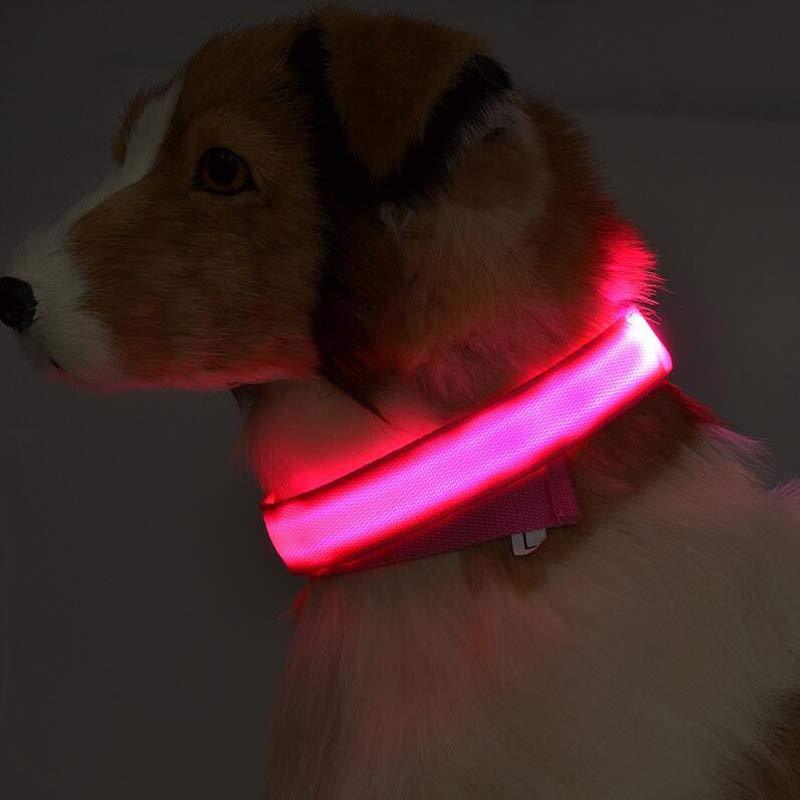 Nylon LED Pet Dog Luminous Collar Night Safety Flashing Glow in Dark Dog Cat Leash Adjustable Pet Supplies - Nestkin Store