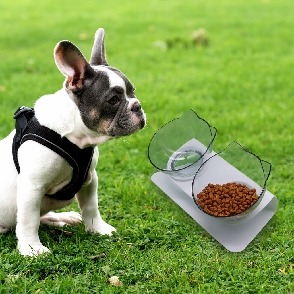 Kitten Bowl Pet Cervical Support Feeding Food Basin - Nestkin Store