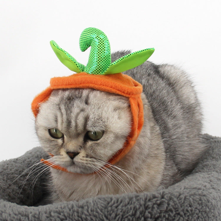 Halloween Pet Cats Costume Props Creative Pumpkin Shape Green Leaf Decoration Cosplay Clothing Holiday Garment Supplies - Nestkin Store