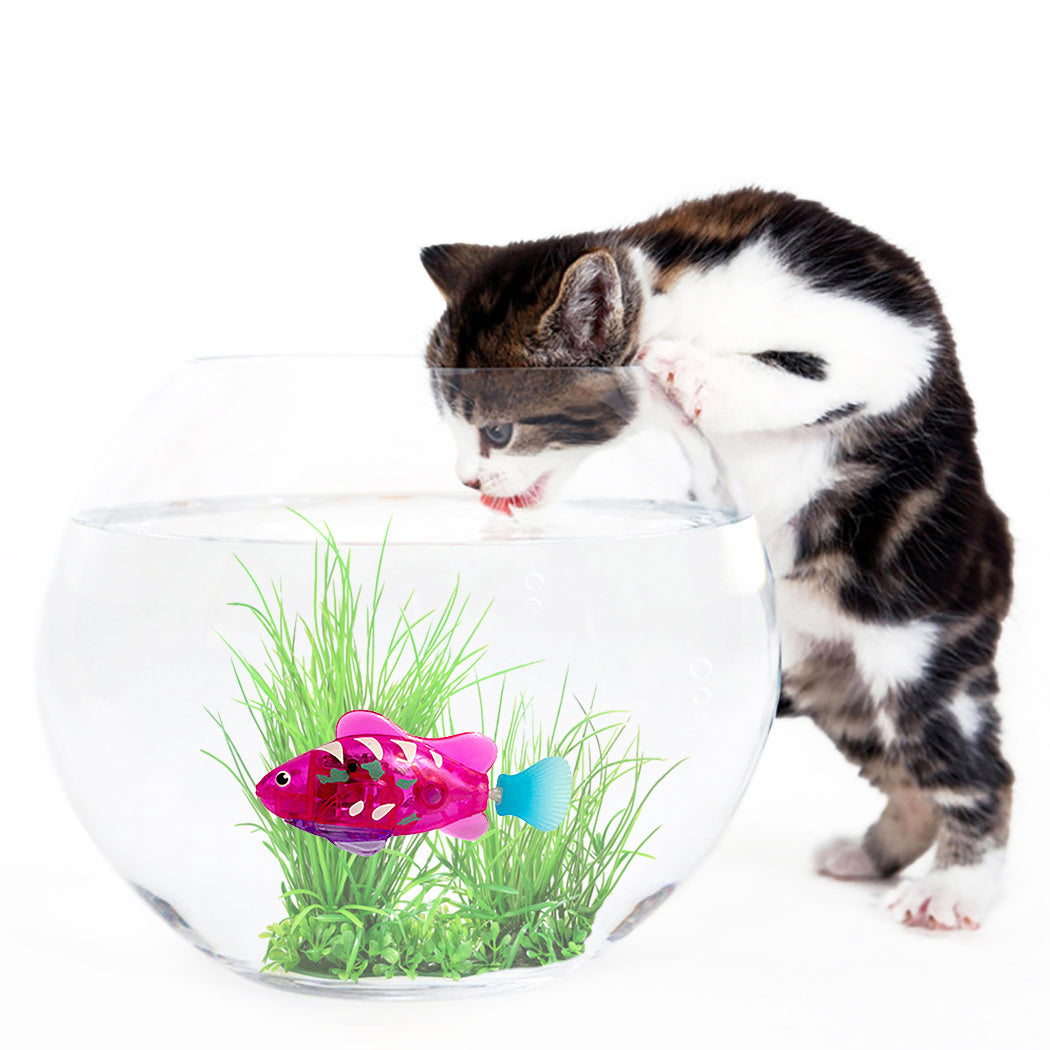 Pet Fish Electronic Cat Toys With Grass LED Light Toys - Nestkin Store