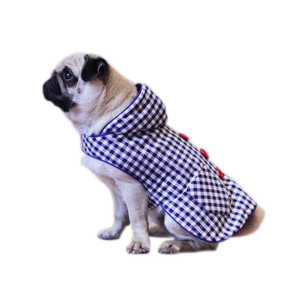 Blue Biscuit by Doggy Doo Little