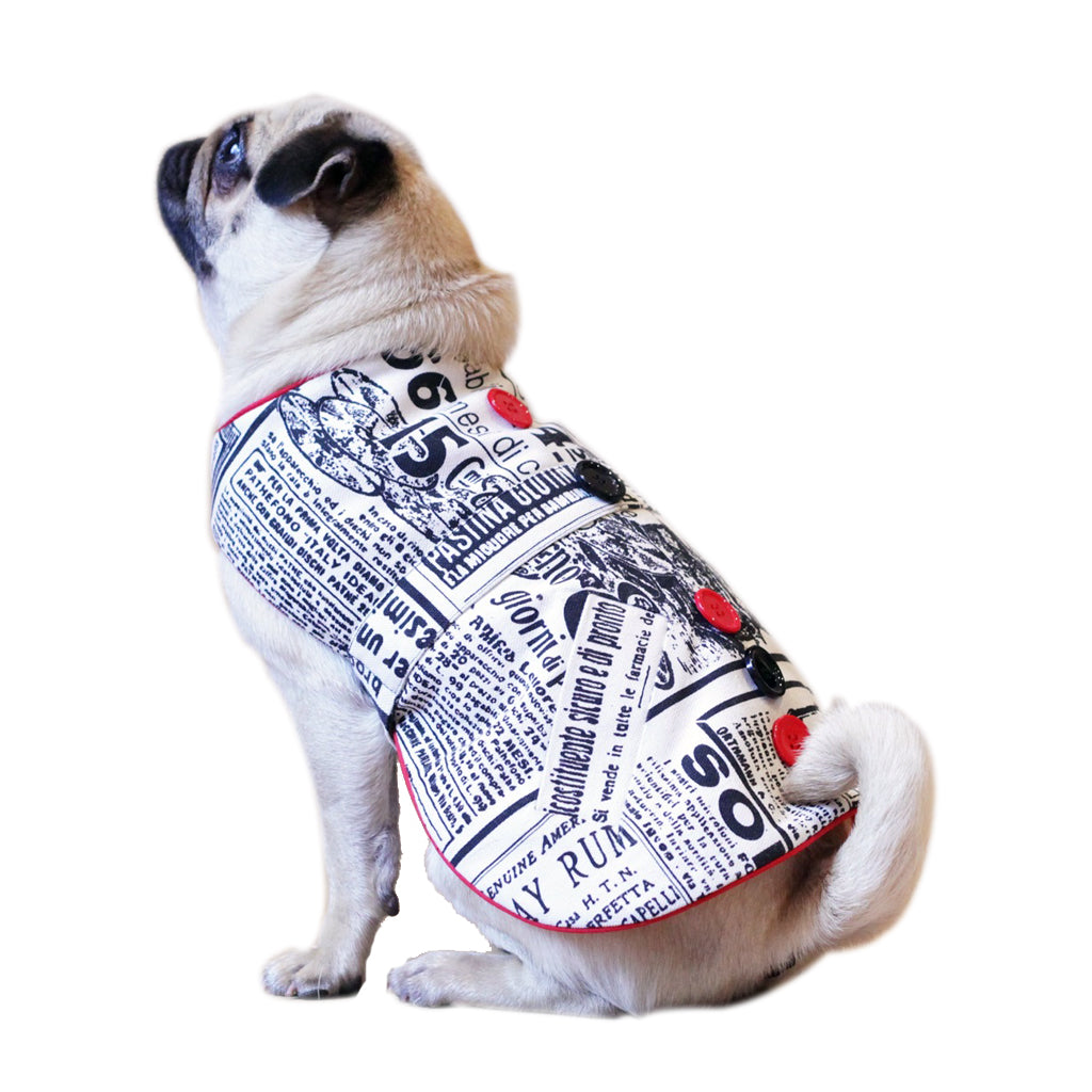 Paparazzi by Doggy Doo Little