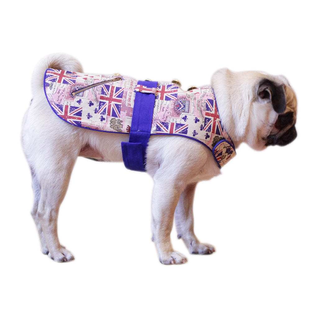 Patriotic 3 by Doggy Doo Little