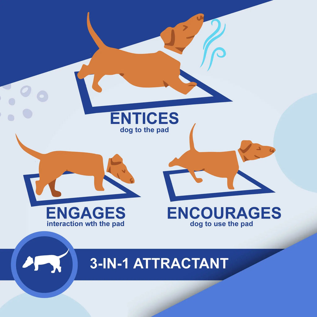 Dog Pee Pad, Puppy Potty Training Pet Pads Dog Pads Extra Large Disposable Super Absorbent & Leak-Free Pee Pads - Nestkin Store