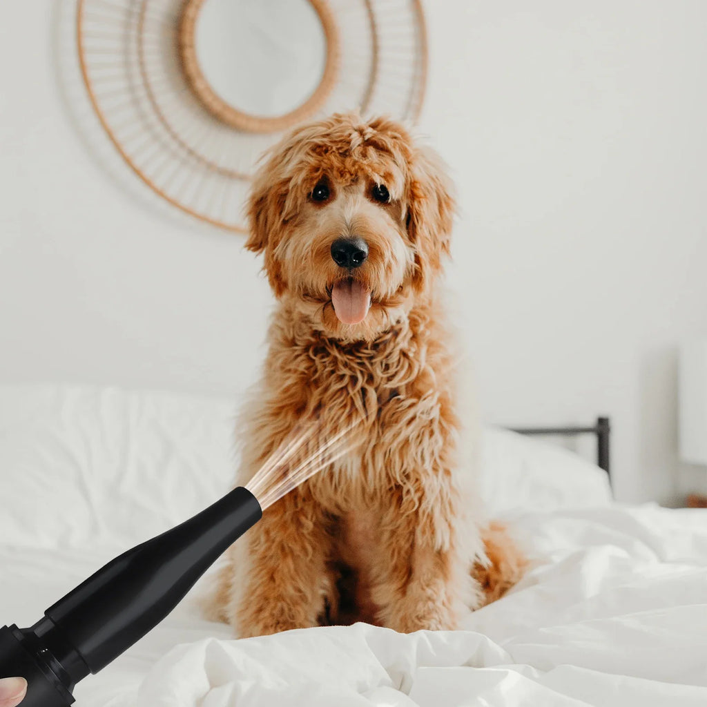 2800W Pet Dog Cat Grooming Hair Dryer Hairdryer Blaster Blower Low Noise Washer Heater with 2.5M Hose 3 Different Nozzles - Nestkin Store