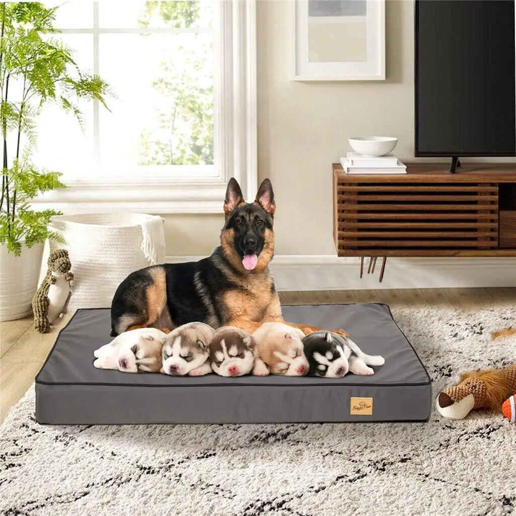 M L XL 2XL Dog Bed Jumbo Pet Orthopedic Bed Memory Foam Base Crate Mattess Cushion with Washable Cover Waterproof - Nestkin Store