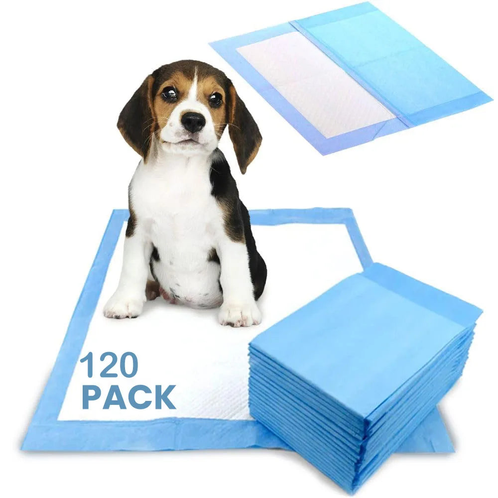 Dog Pee Pad, Puppy Potty Training Pet Pads Dog Pads Extra Large Disposable Super Absorbent & Leak-Free Pee Pads - Nestkin Store