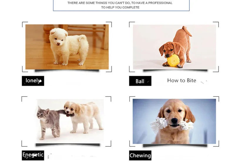 Pet Dogs Plush Animal Chewing Toy Wear-resistant Squeak Cute Bear Fox Toys for Dog Puppy Teddy Interactive Supplies - Nestkin Store