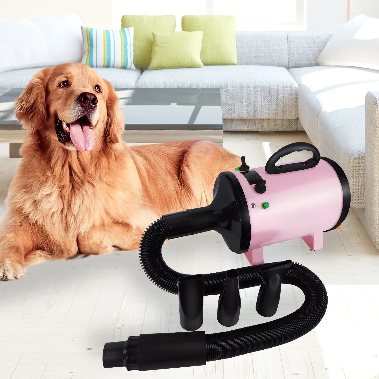 2800W Pet Dog Cat Grooming Hair Dryer Hairdryer Blaster Blower Low Noise Washer Heater with 2.5M Hose 3 Different Nozzles - Nestkin Store