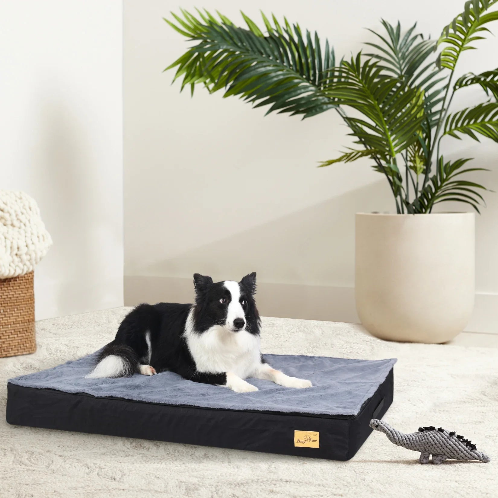 M L XL 2XL Dog Bed Jumbo Pet Orthopedic Bed Memory Foam Base Crate Mattess Cushion with Washable Cover Waterproof - Nestkin Store