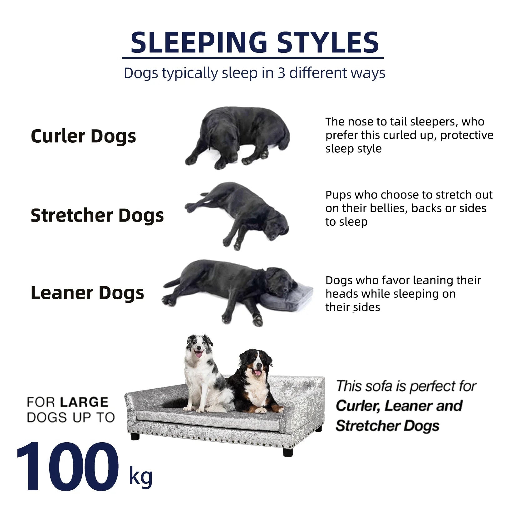 Dutch Velvet Upholstered Pet Lounge Chair, Dog Bed, Sofa, Couch Bed, Solid Wood Legs, Detachable Pad, Pet Supplies, L, XXL - Nestkin Store