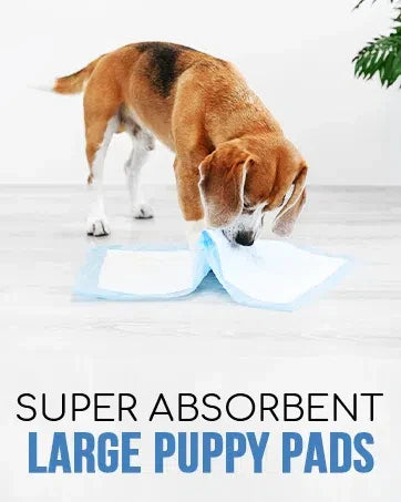 Dog Pee Pad, Puppy Potty Training Pet Pads Dog Pads Extra Large Disposable Super Absorbent & Leak-Free Pee Pads - Nestkin Store