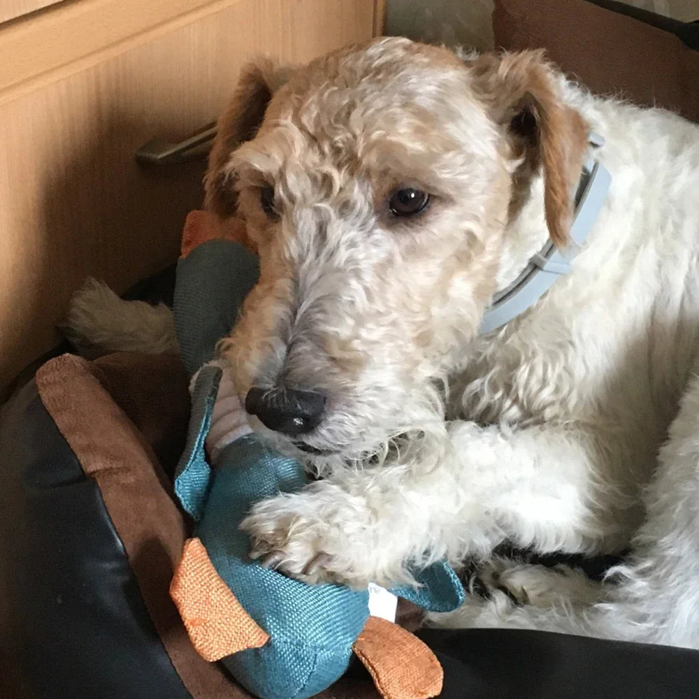 Cute Dog Plush Toys Pet Duck Squeak Toy for Puppy Sound Wild Goose Chew Toy for Small Middle Large Dogs Teeth Cleaning Toys - Nestkin Store