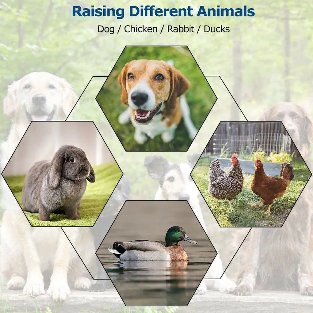 Oversize Dog Cage, Pet Run Enclosure, Playpen with Roof, for Outdoor Pet Kennel, High Fence - Nestkin Store