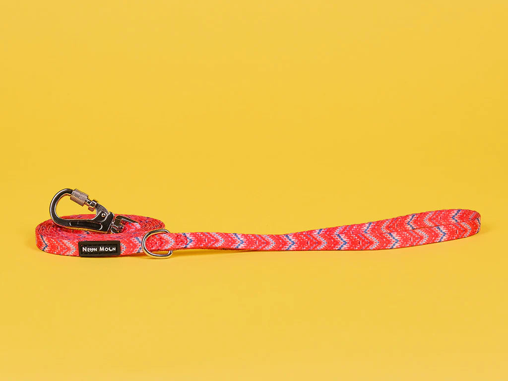 The Tod Dog Lead - by Neon Moon Pet Boutique