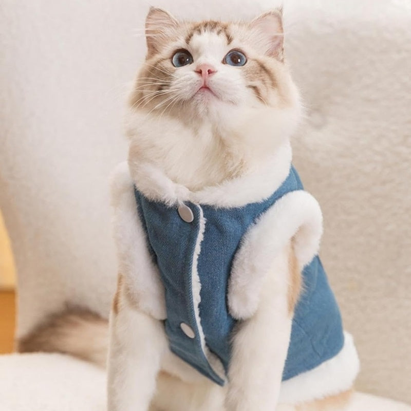 Winter Fleece Pet Dog Clothes Bear Print Dog Down Coat Warm Soft Puppy Vest Jacket Fashion Cat Jacket Coat Cute Pet Dog Costumes - Nestkin Store