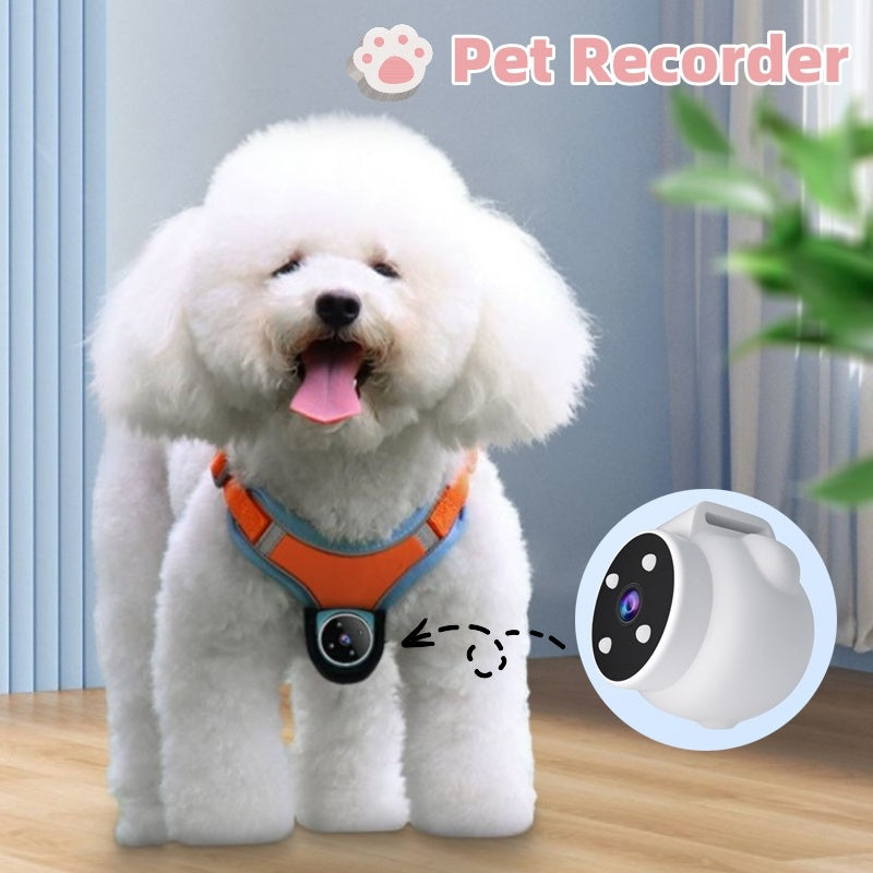 Pets Recorder Pet Tracker Collar Dogs And Cats Viewing Angle Motion Recording Camera Action Camera With Video Records Cat Collars Camera Sport Pet Products - Nestkin Store