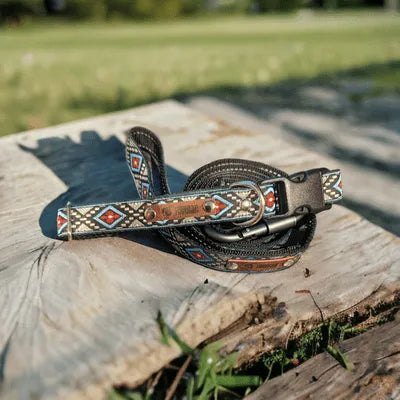 Designer's Whimsical Charm Handmade Dog Collar for Medium dogs