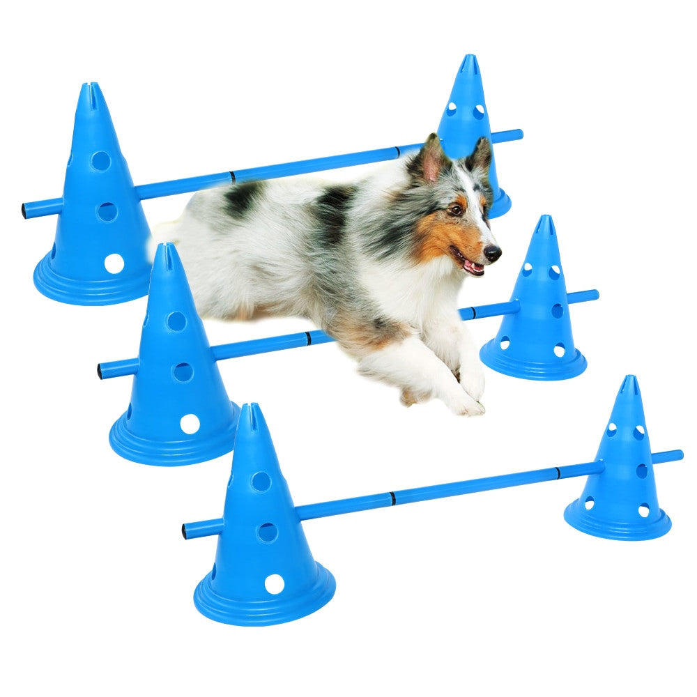 Dogs Agility Equipment
