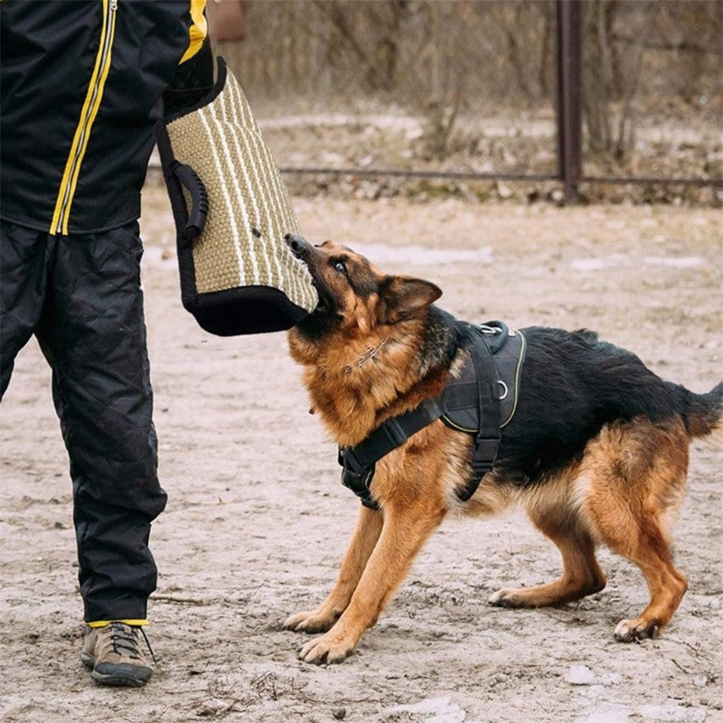 Strong Jute Dog Bite Sleeve Tug Work Puppy Training