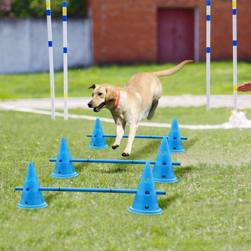 Dogs Agility Equipment