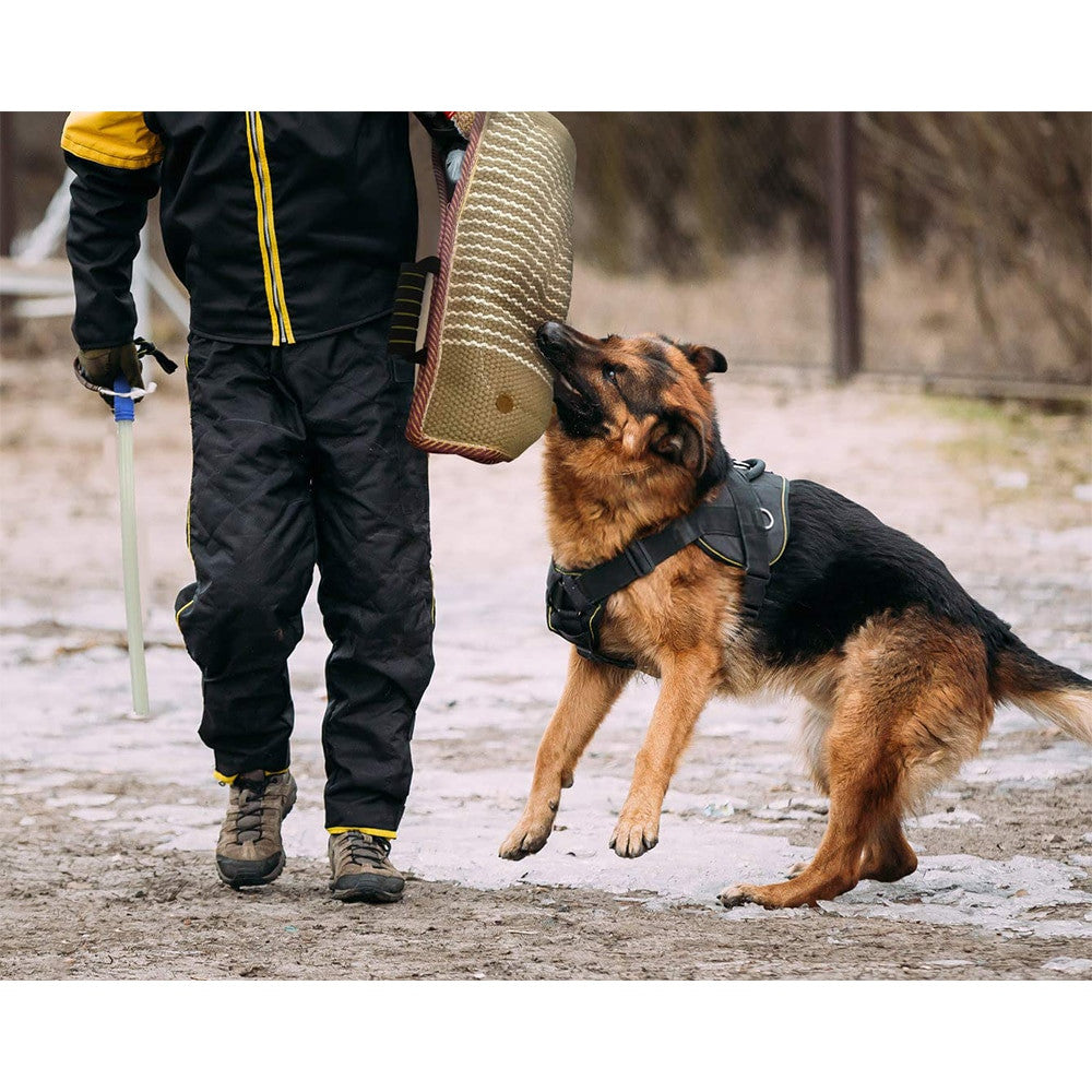 Dog Training Arm Sleeve Professional Dog Training Set