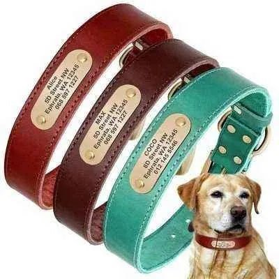 Luxury Leather Dog Collar with Personalised Engraving